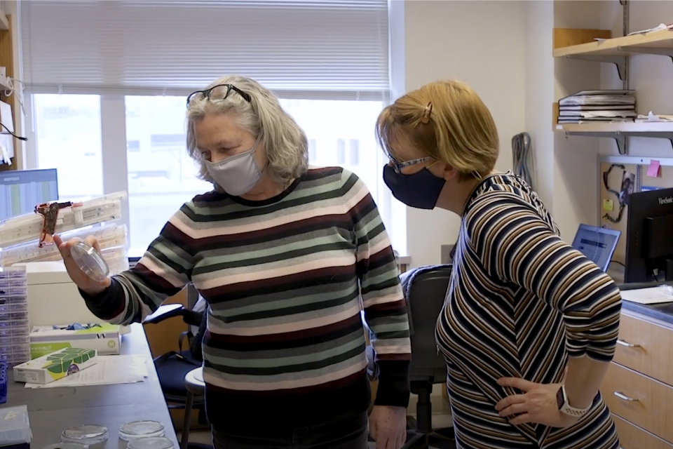 Two people in a laboratory look at a petri dish together.