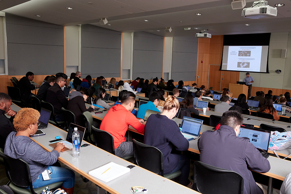 Pharmacy students in a lecture hall.