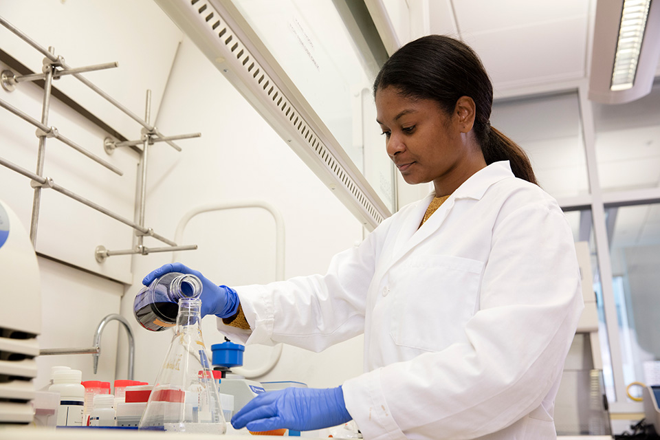 A student works in a lab.